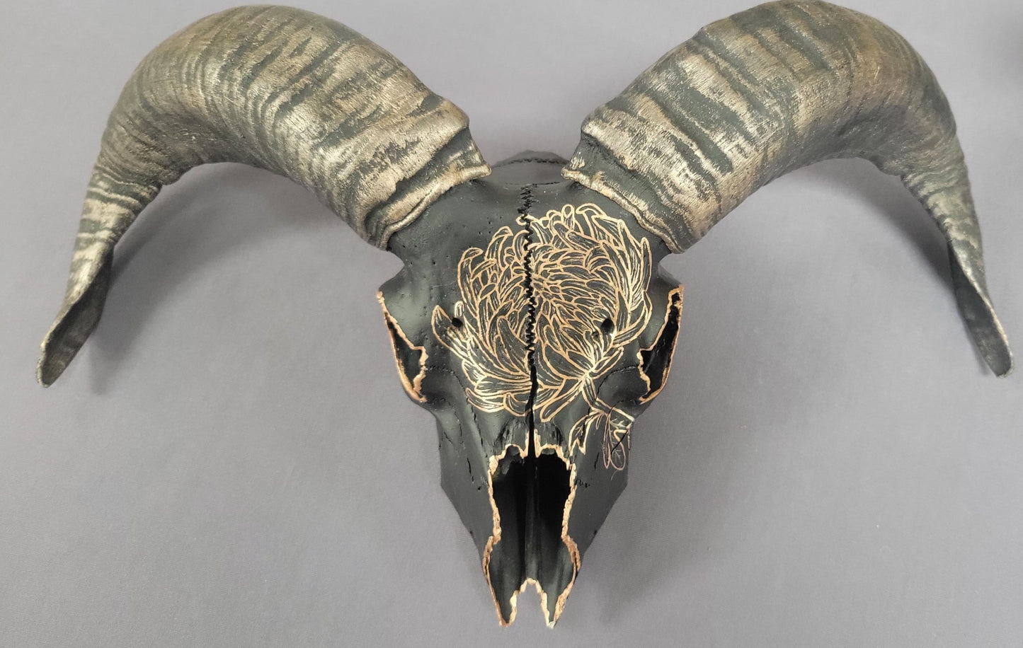 Painted Ram Skull- Life after Death